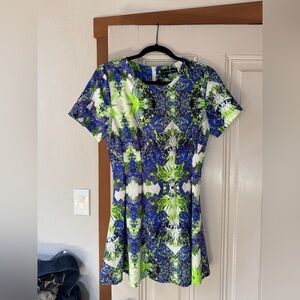 Alexander McQueen digital print dress
